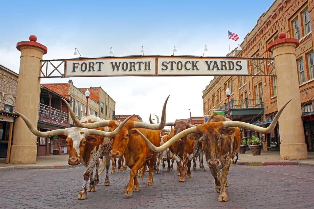 Radisson Hotel North Fort Worth Fossil Creek