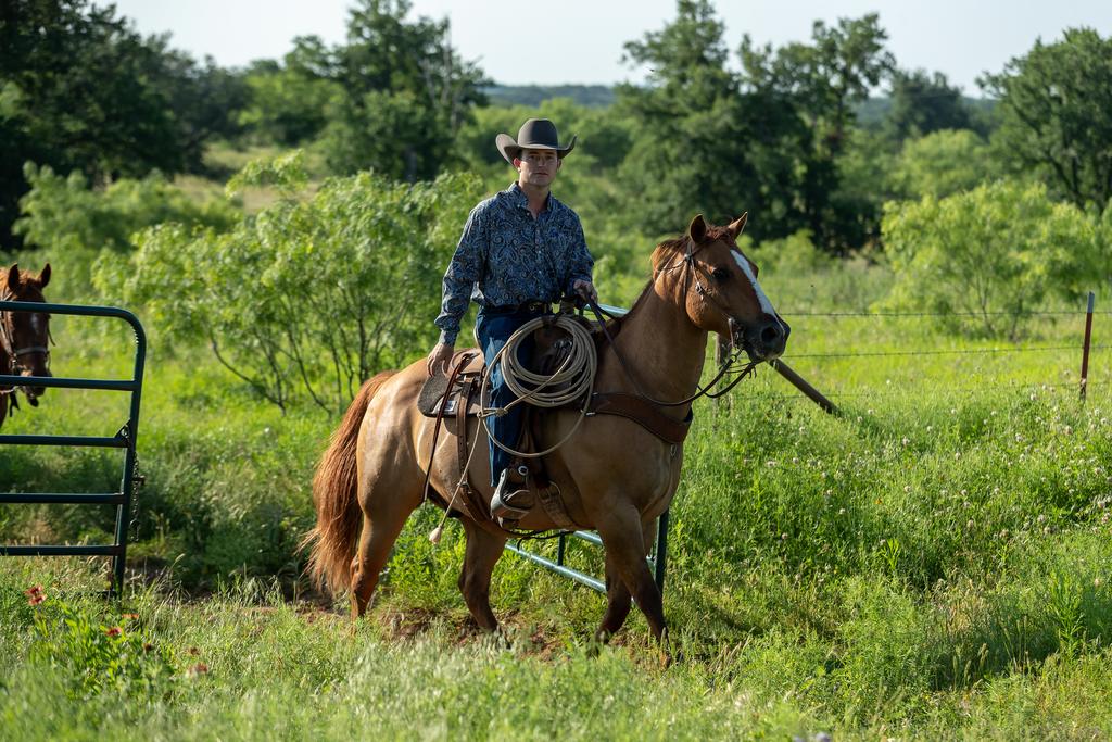 Wildcatter Ranch & Resort