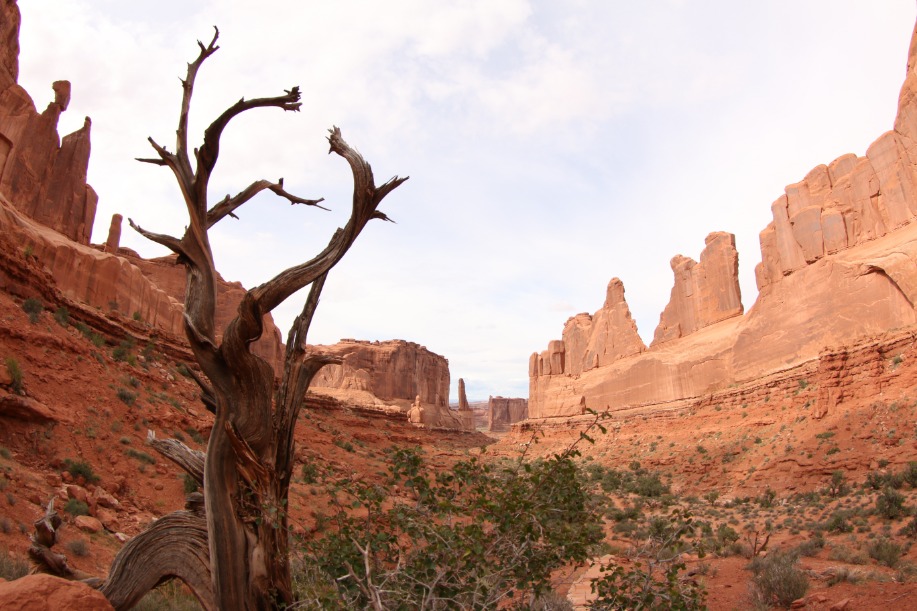 Arches National Park