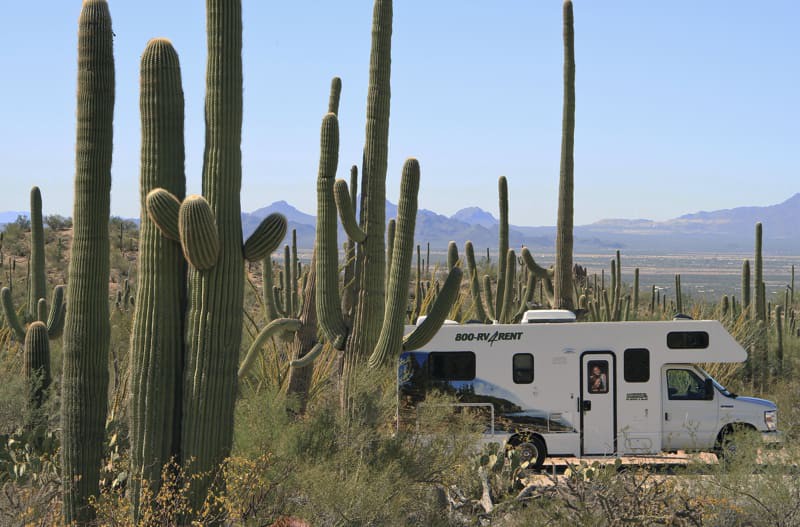 Saguaro NP%2C AZ IMG 2513 7D Afbeelding van Saguaro NP%2C AZ IMG 2513 7D