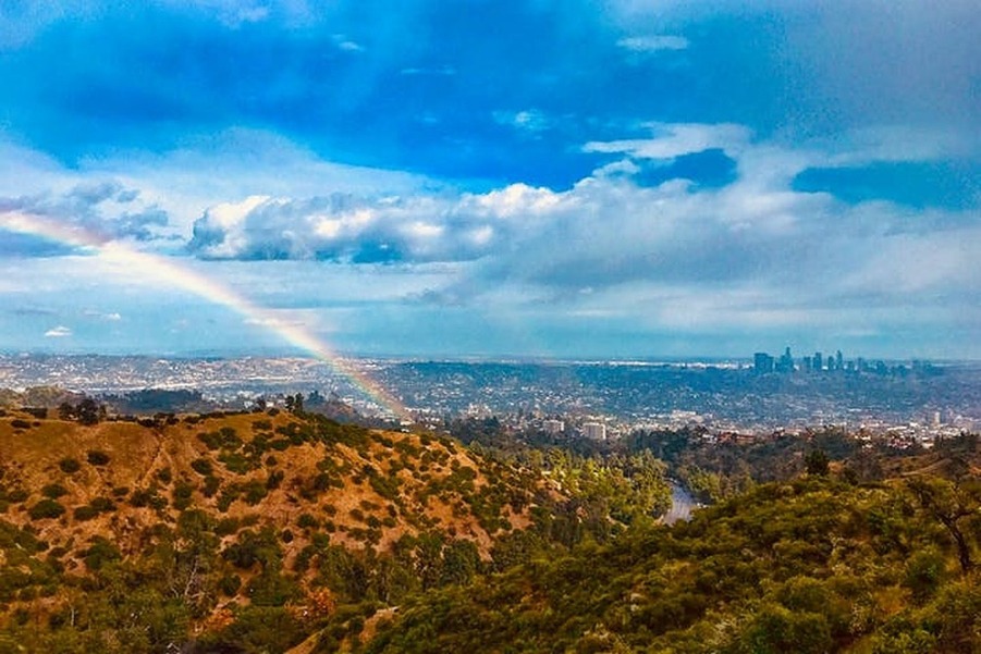 The Official Hollywood Sign Hike