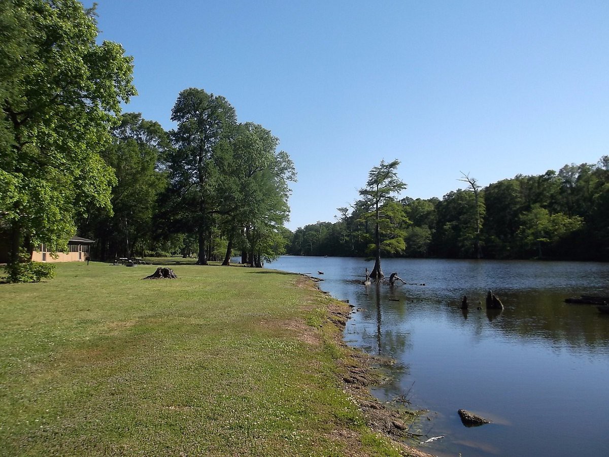 Afbeelding van Alligator Lake And View