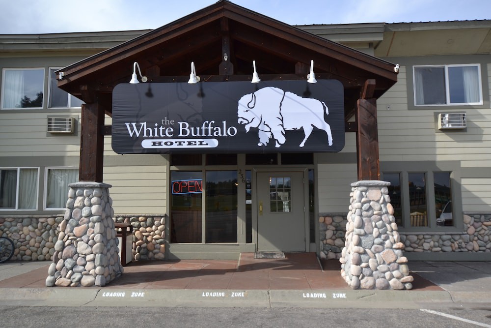 White Buffalo