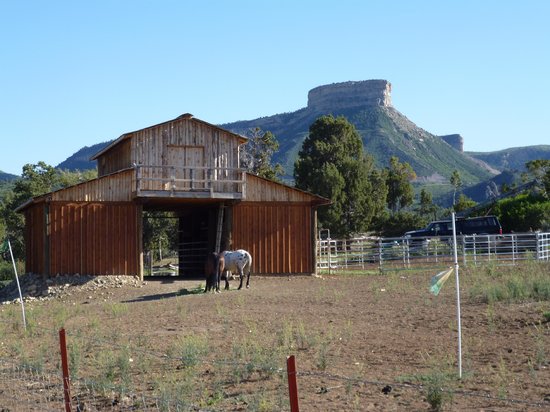 Afbeelding van Park With Mesa Verde