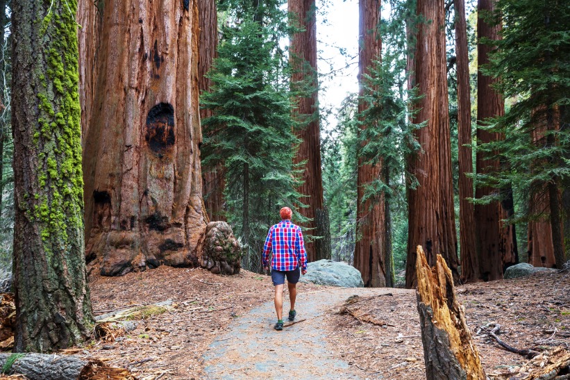 Sequoia National Park en Kings Canyon National Park