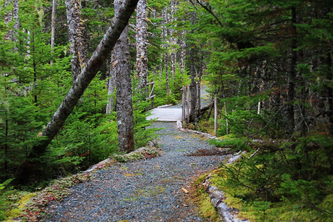 Fall Creek Falls Campsites