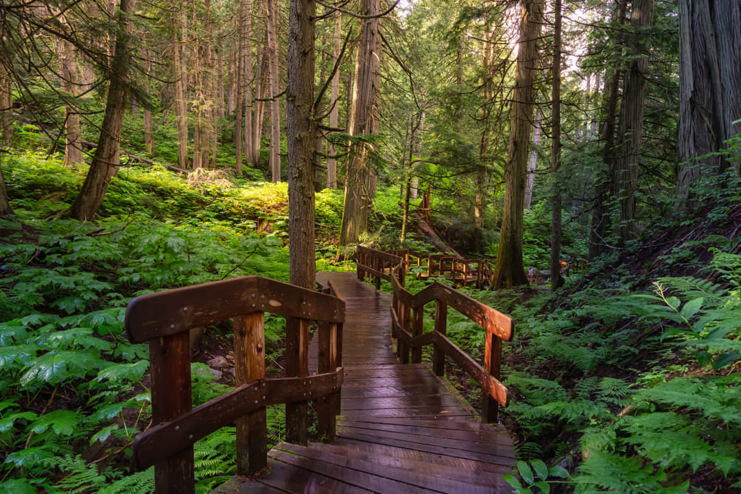 Revelstoke