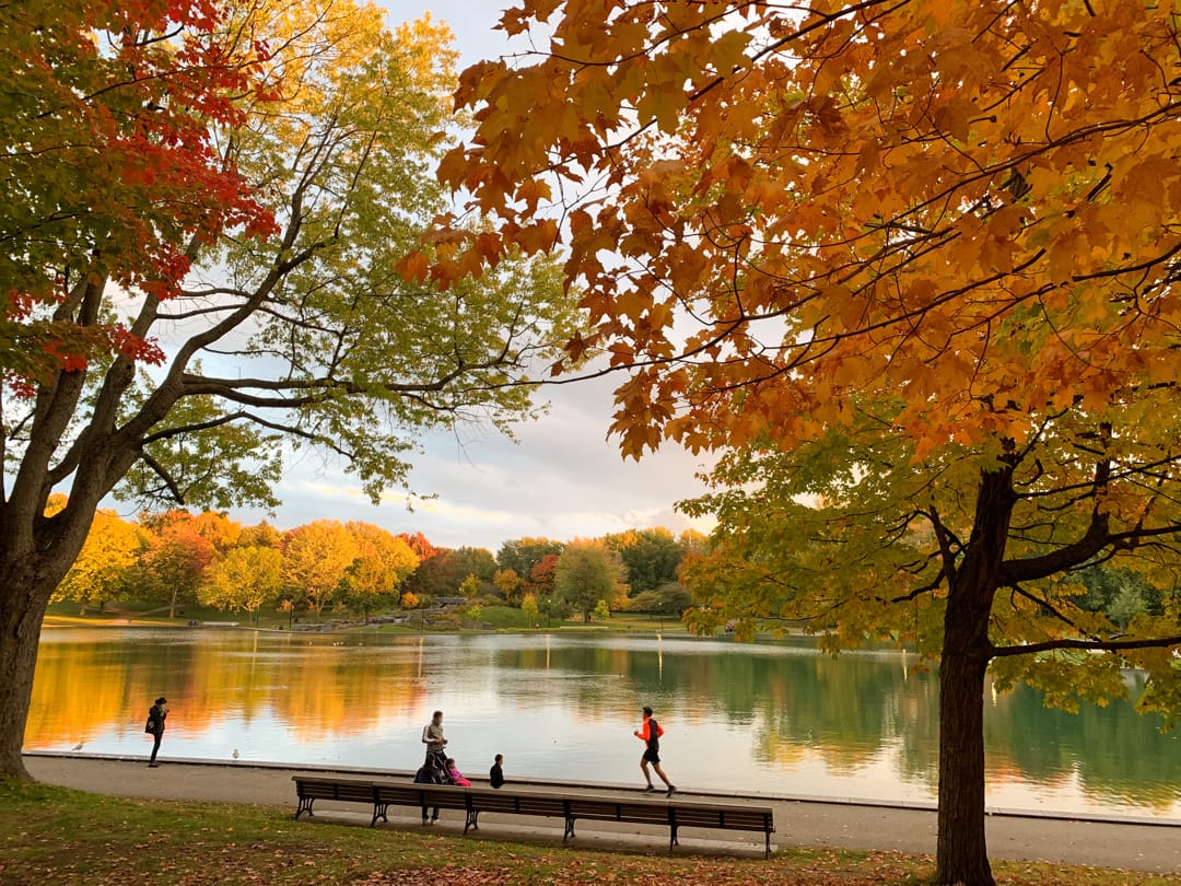 Parc du Mont-Royal