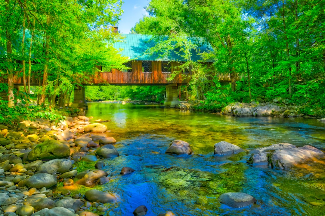 Gatlingburg TN, Verenigde Staten