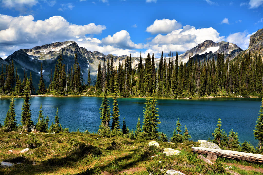 Revelstoke