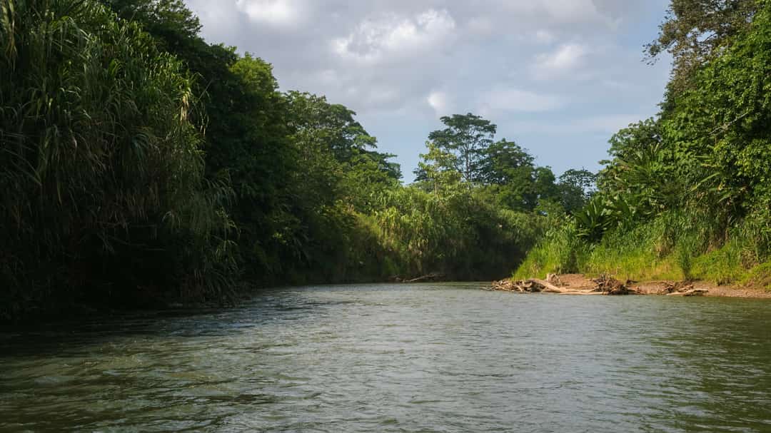 Safari Float Tour over de Peñas Blancas River