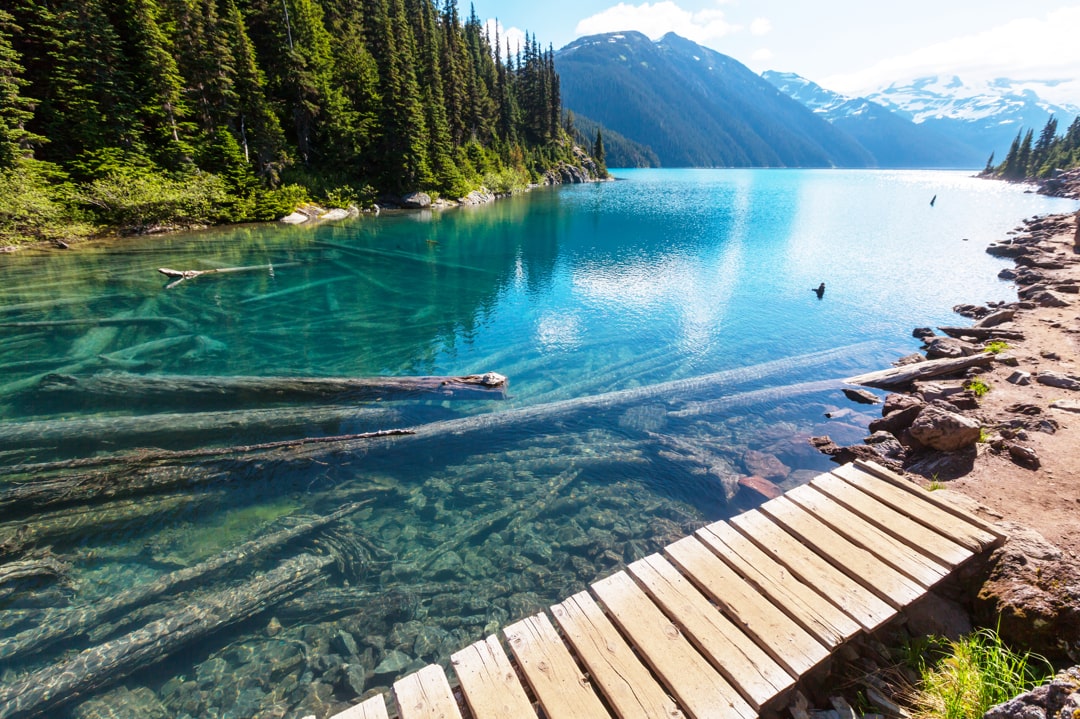 Whistler