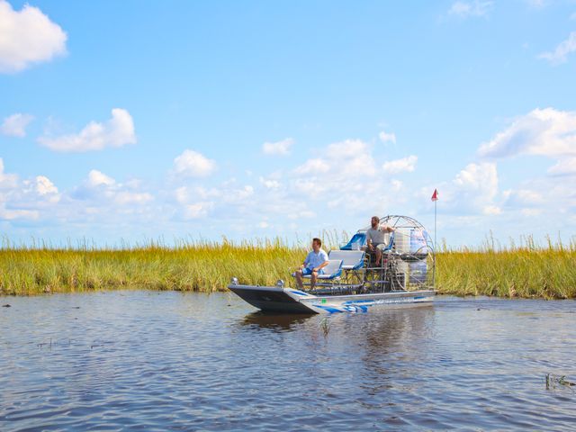 Airboat swamp tour florida