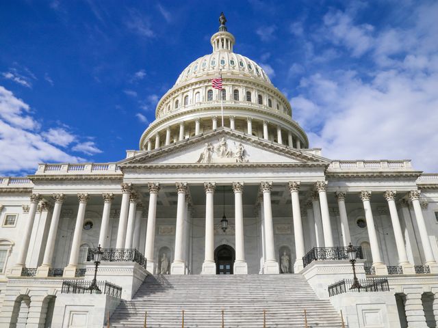 Het Capitool in Washington DC