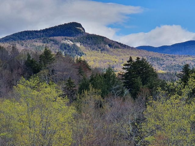 White Mountains , New Hampshire