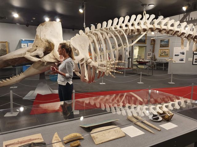 New Bedford whale museum