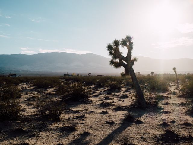 Joshua Tree National Park, Californië