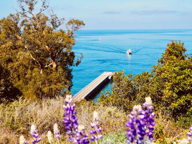 Santa Cruz Island, Channel Islands National Park