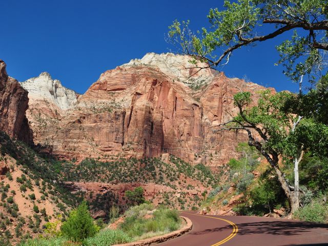 Zion National Park, Natuurpark Utah