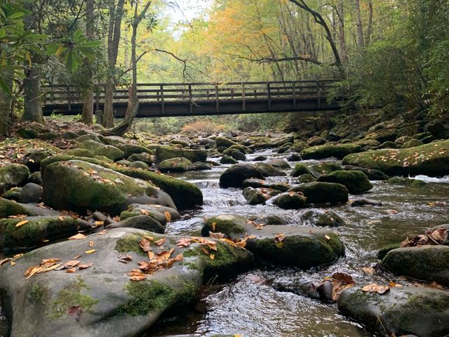 Great Smoky Mountains National Park