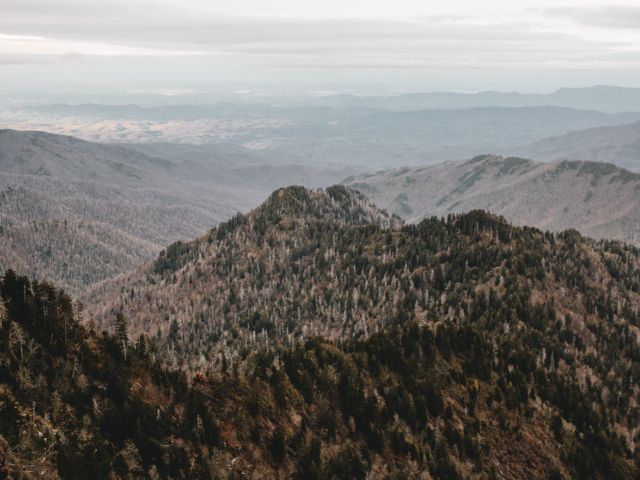 Great Smoky Mountains National Park