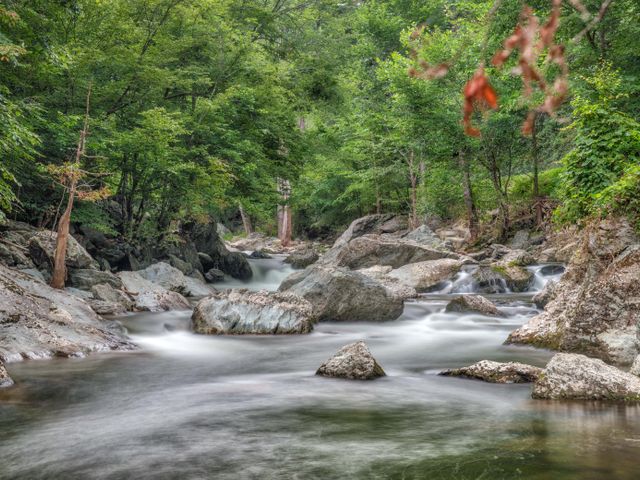 Great Smoky Mountains, Tennessee