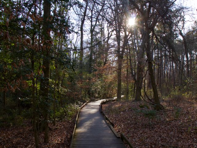 Congaree National Park, South Carolina