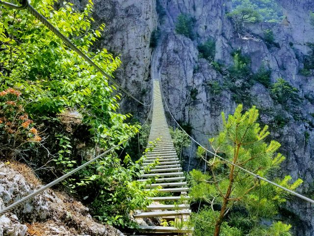 Houten brug, West Virginia