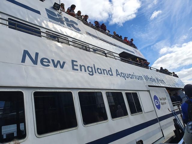 Whale watch boat , Boston Harbor