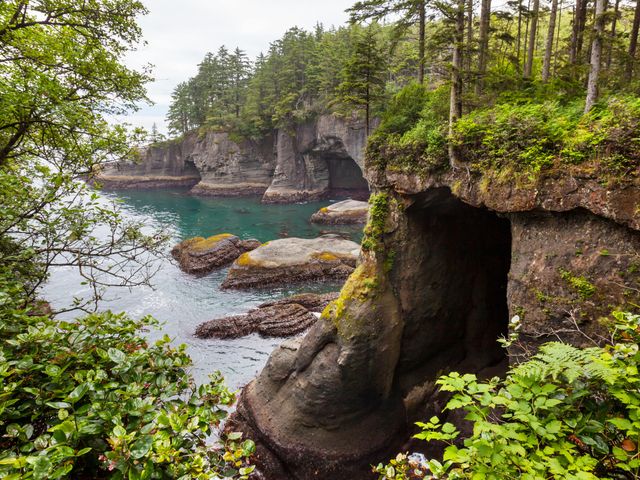 Olympic National Park, Washington