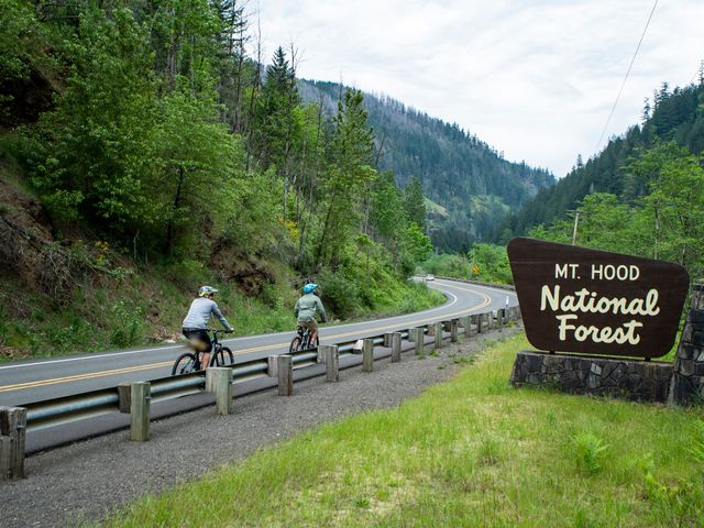 Mt Hood National Forest , Oregon