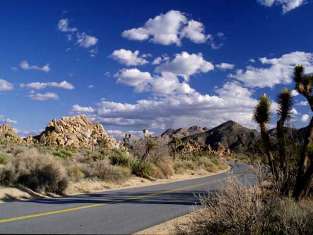 Road in Joshua Tree National Park