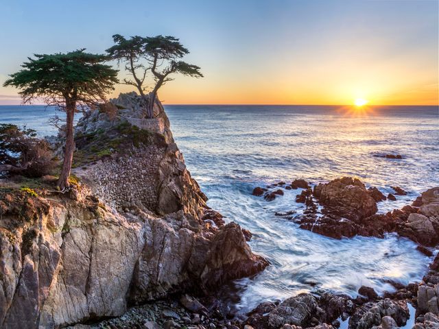 The Lone Cypress, Monterey, Californië