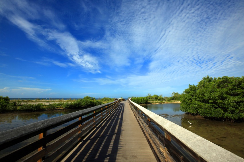 Nature Naples Florida