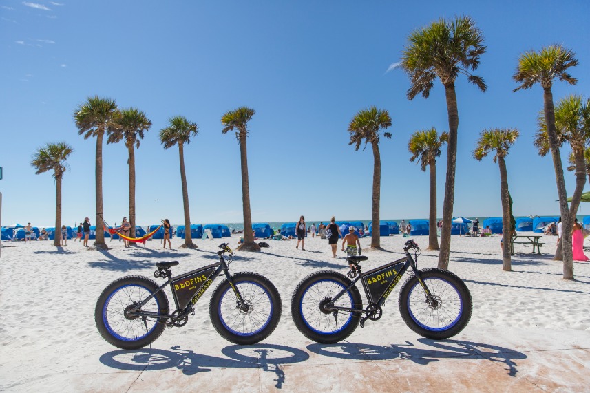 Bikes And Palm Trees On Clearwater Beach