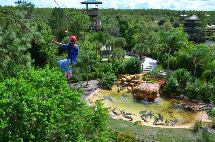 Zipline Gatorla Orlandond