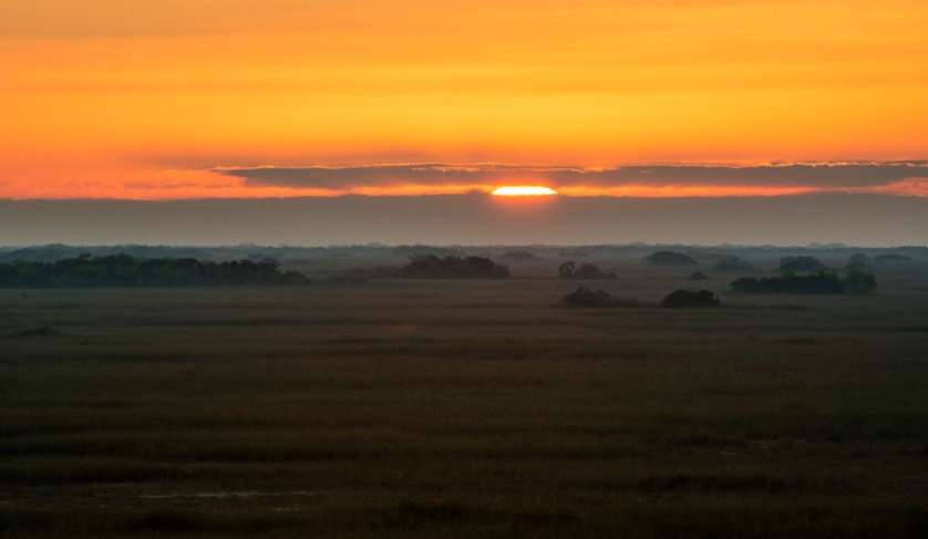 Everglades Grasslands