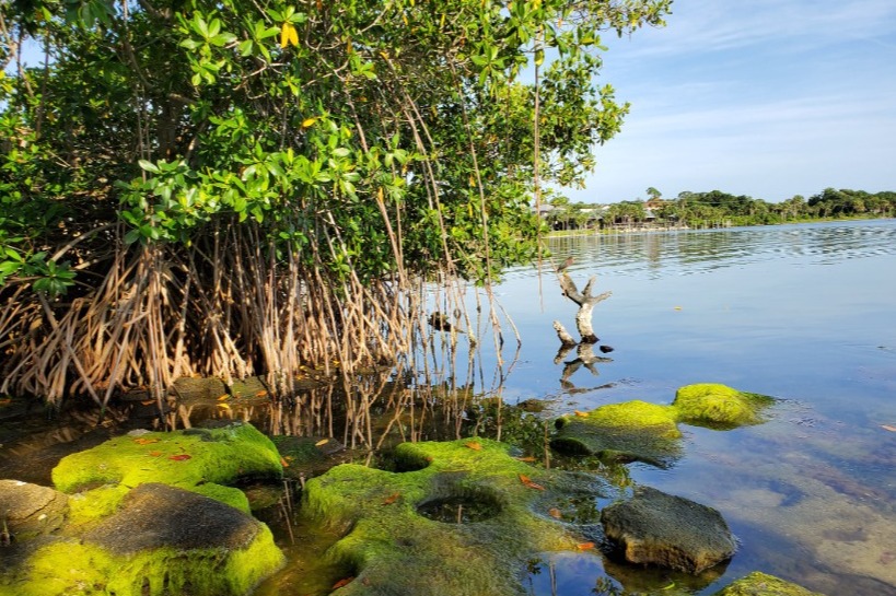 Indian River Lagoon