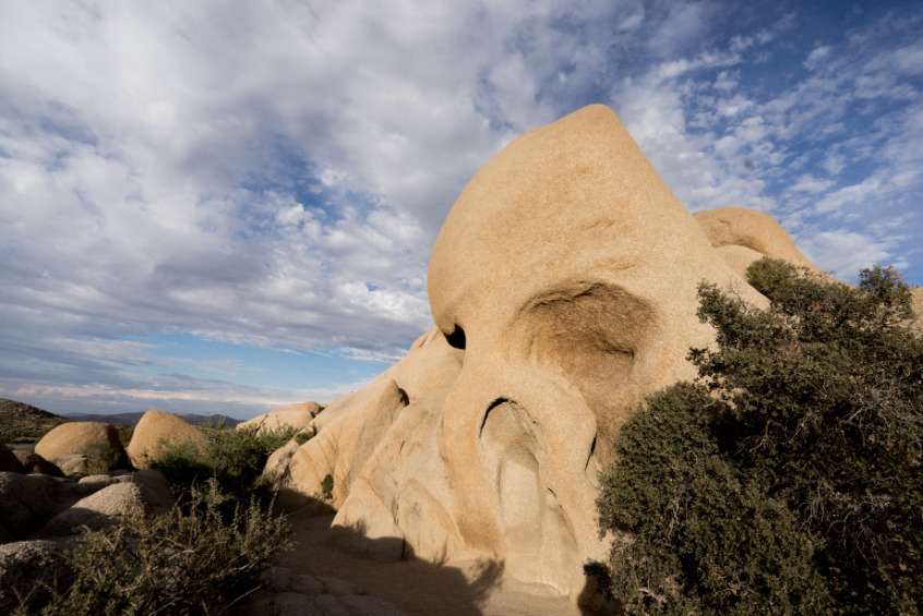 Skull Rock Joshua Tree National Park