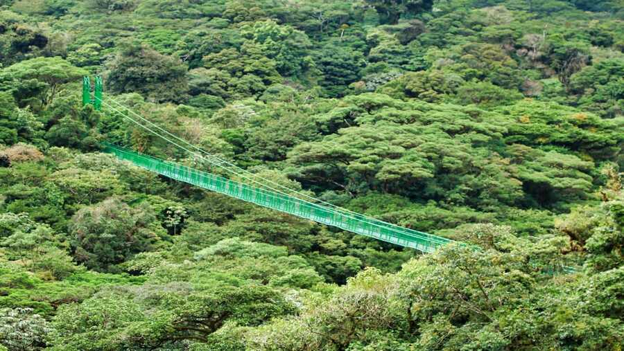 Monteverde Cloud Forest Selvatura Park