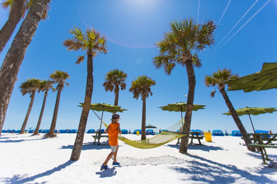 Palm Tree Hammock   Clearwater Beach