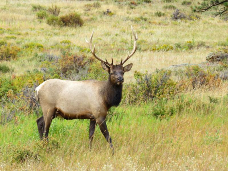 Rocky Mountains National Park
