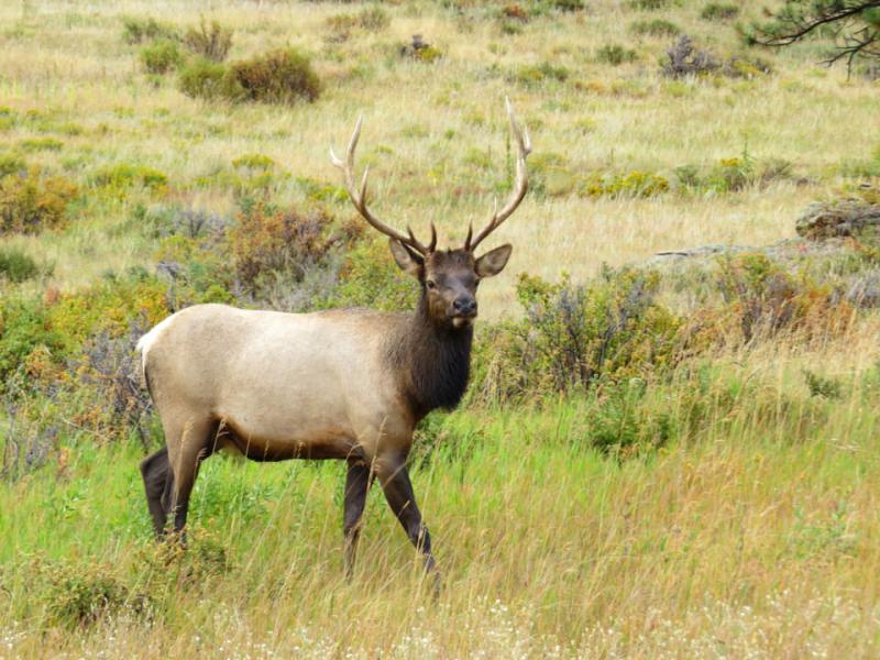 Rocky Mountains National Park