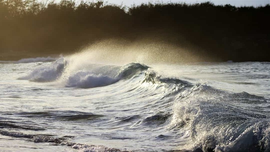 Stranden Kauai Hawaii