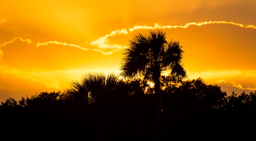 Sunset Everglades