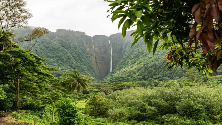 The Big Island Hawaii