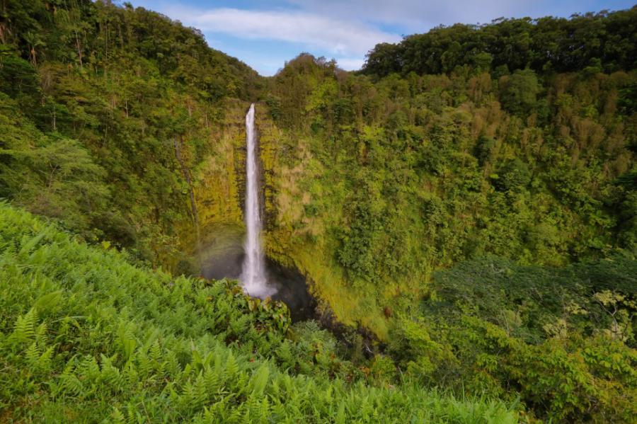 Akaka Falls Big Island