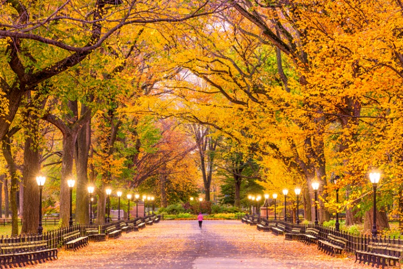 Central Park in de herfst
