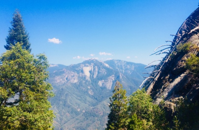 Unnamed road, sequoia national park