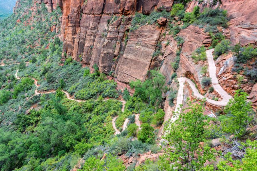 Hiking Tail In Zion National Park